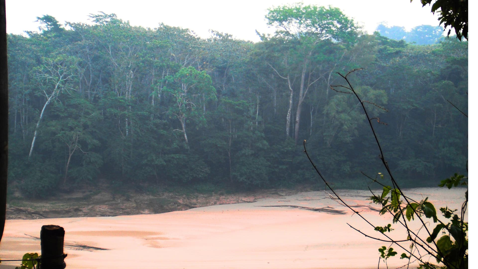 Vista de Galería 5