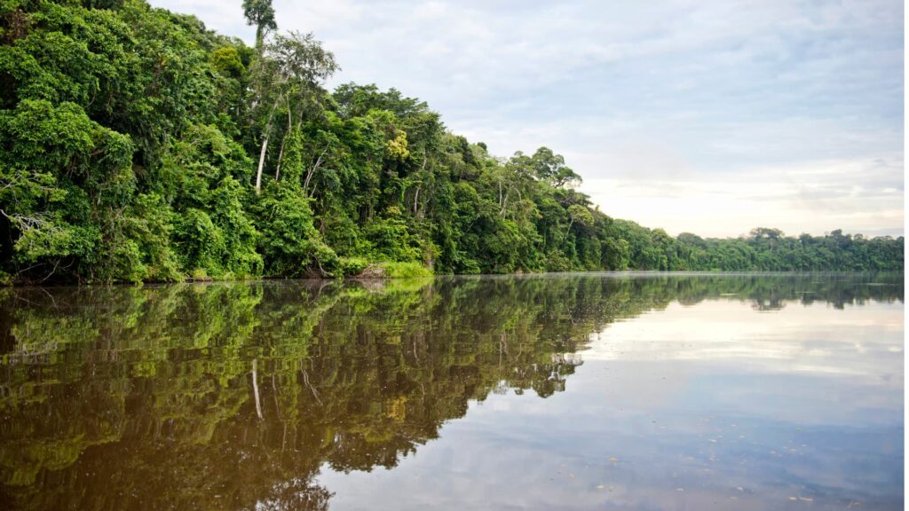 Tour Reserva Nacional Tambopata 3 Días / 2 Noches