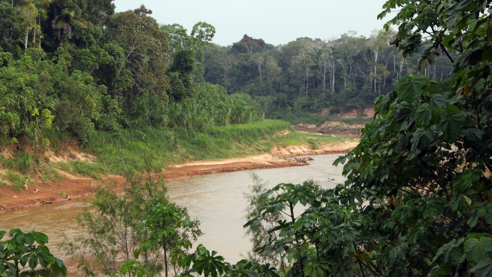 Tour Reserva Nacional Tambopata 4 Días / 3 Noches