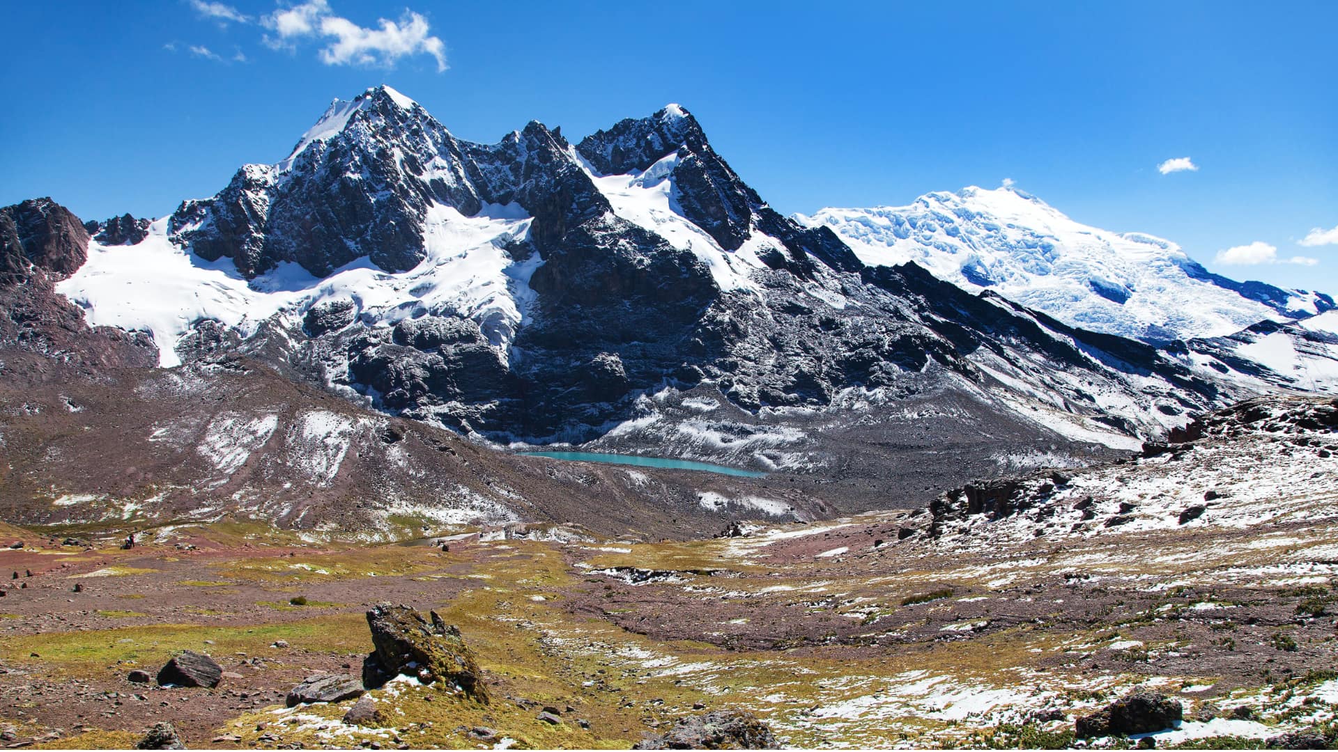 Vista de Galería 4